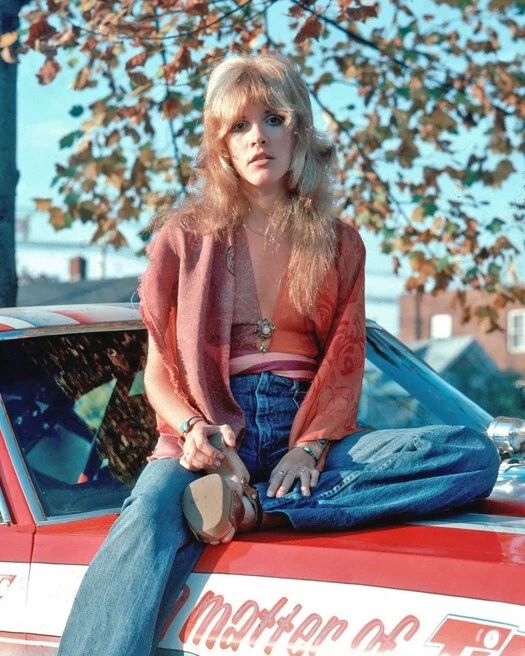 Famous Rock Singer Stevie Nicks Glossy Magnet Fleetwood Mac Print