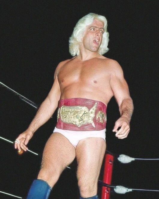 Famous Wrestler Ric Flair Photo Wrestling Wwf Print Wwe Poster Nwa
