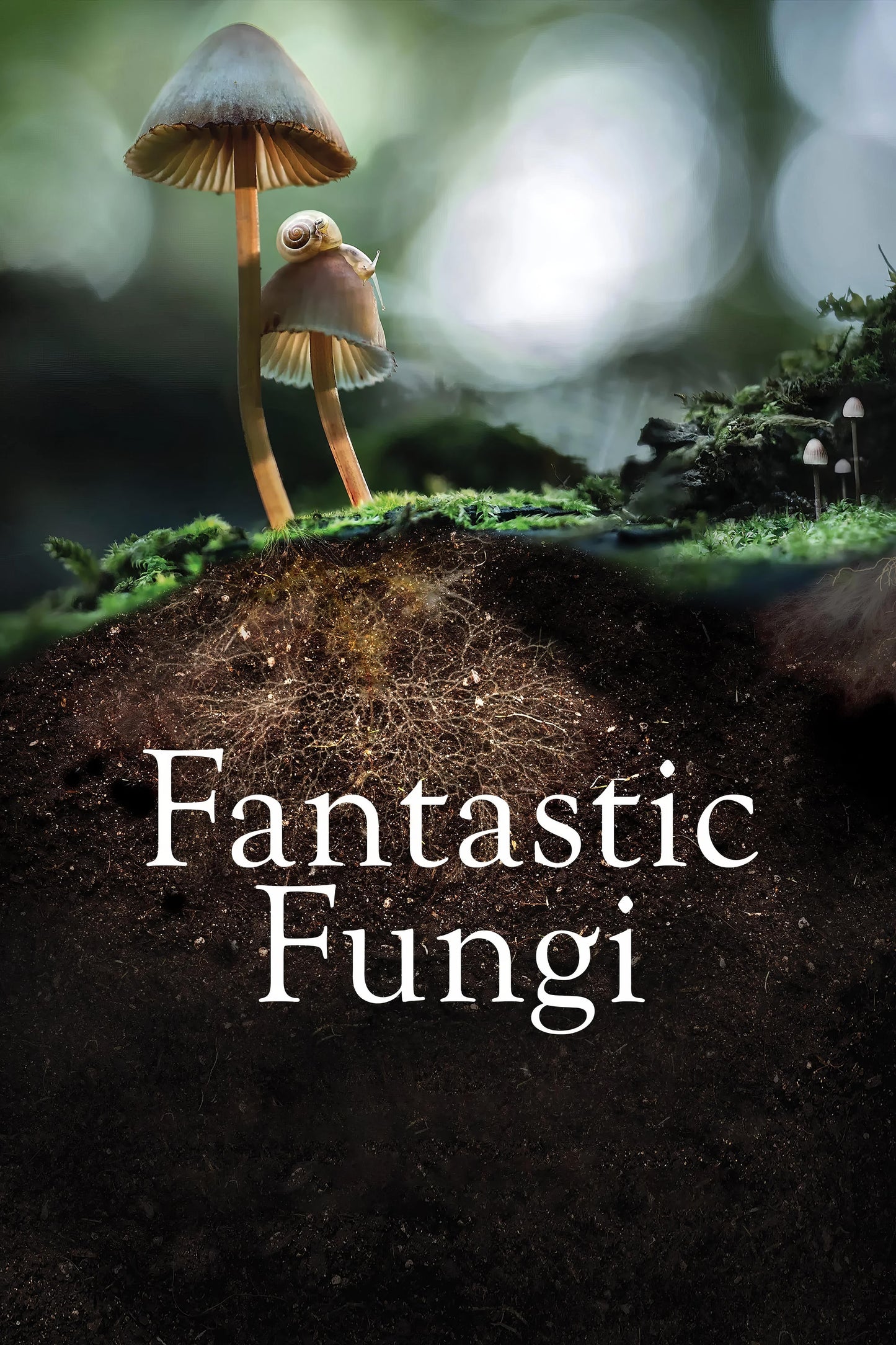 Fantastic Fungi (2019) Movie Keychain