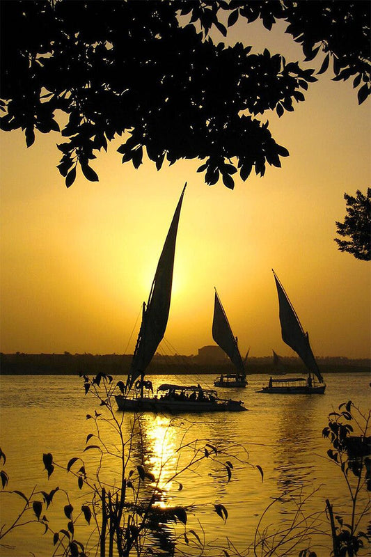 Felucca Sailing At Sunset Print Canvas Jigsaw Puzzle