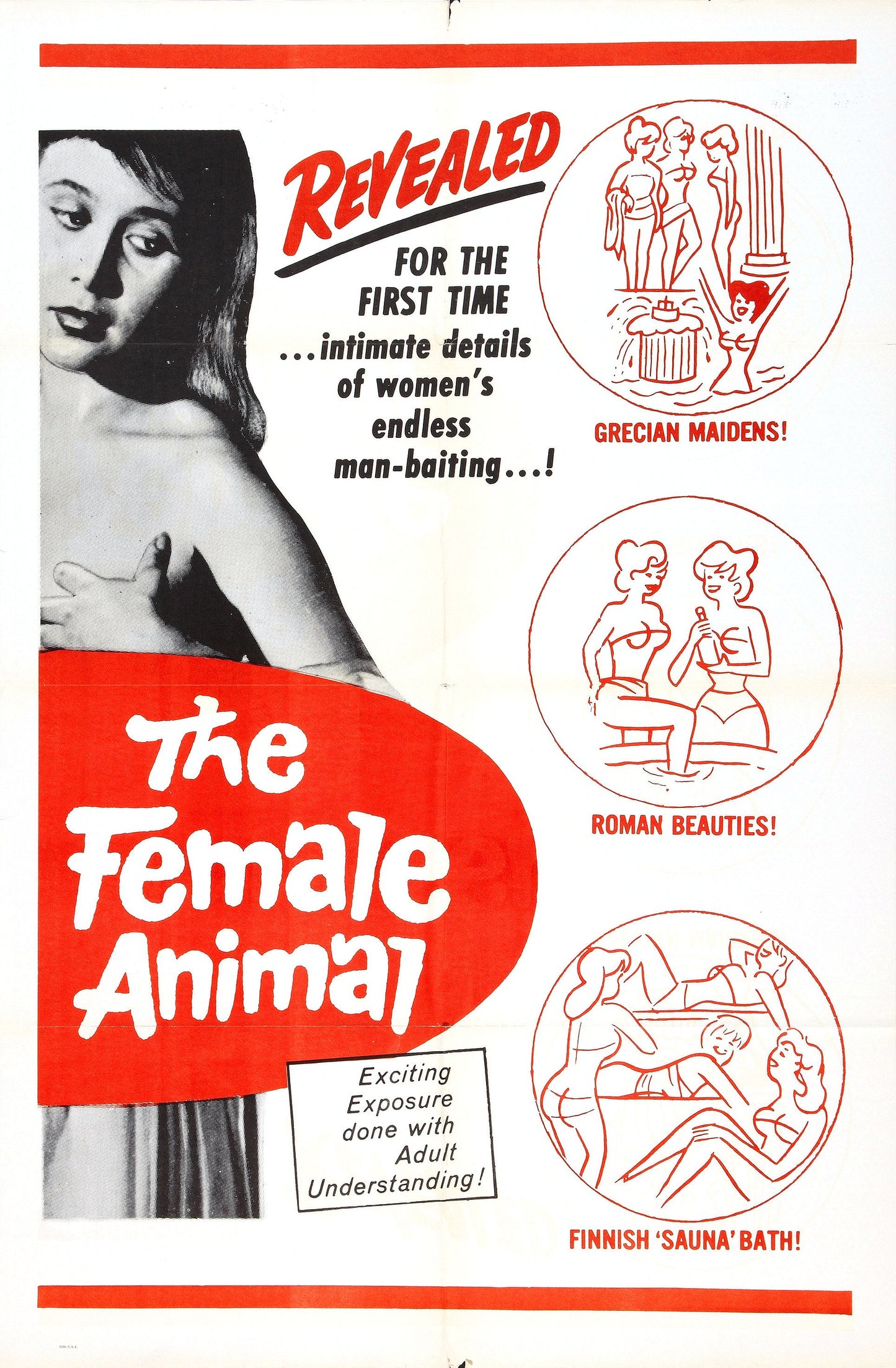 Female Animal 1954 01 Movie Magnet