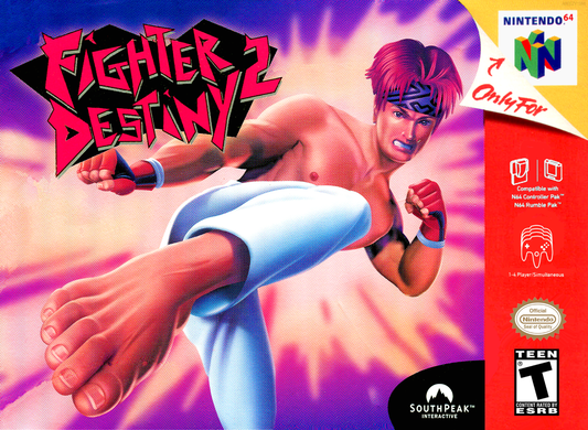 Fighter Destiny 2 N64 Print Poster