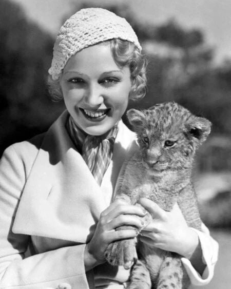 Film Actress Leila Hyams With Cub Glossy Photo Hollywood Model Portrait