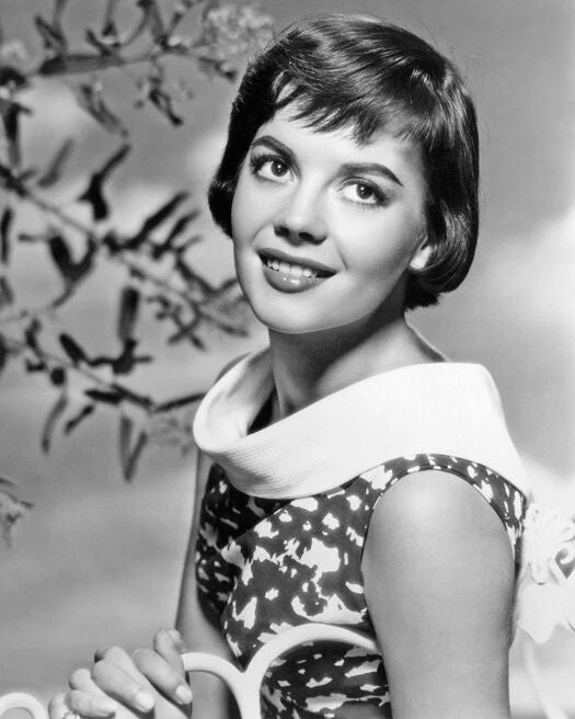 Film Actress Natalie Wood Magnet Model Magnet Glossy Print Portrait 1