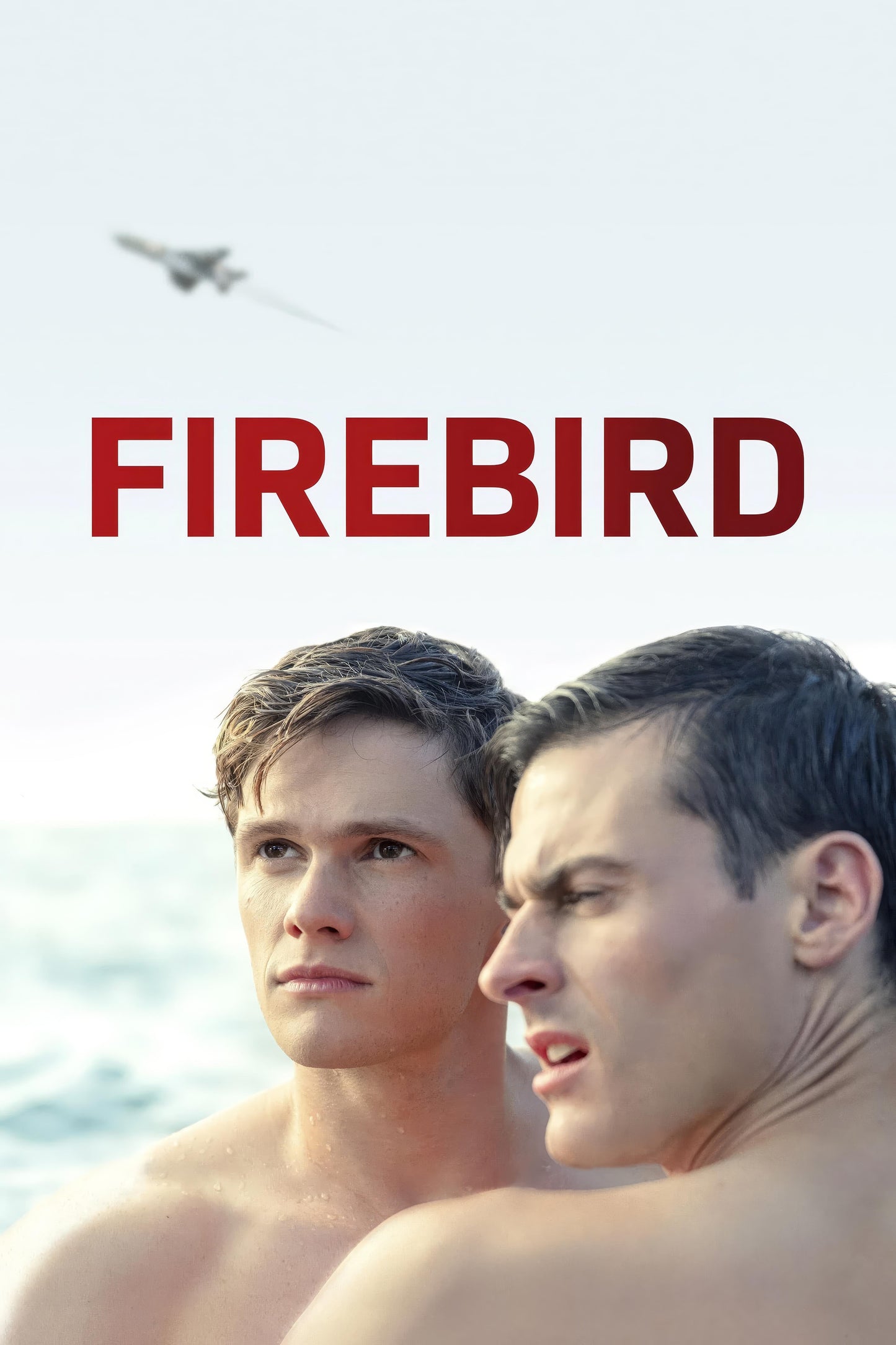 Firebird (2021) Movie Magnet