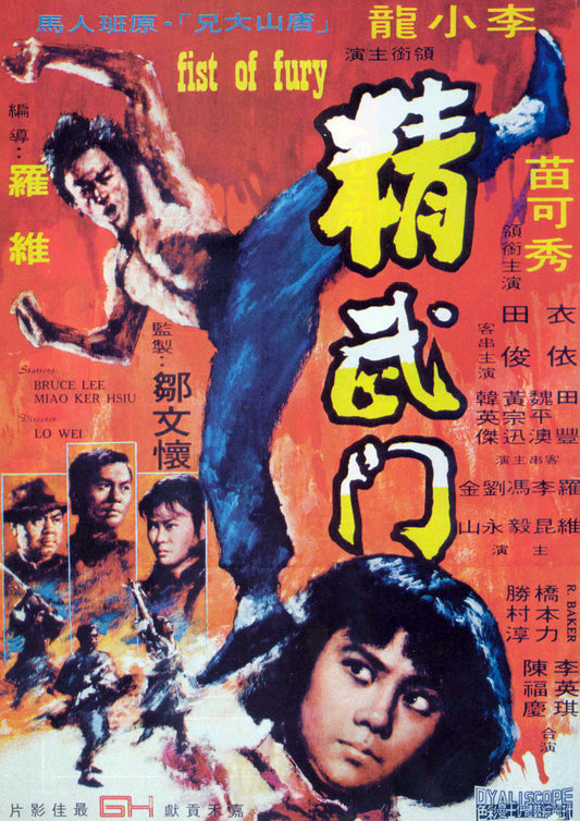 Fist Of Fury 06 Movie Magnet