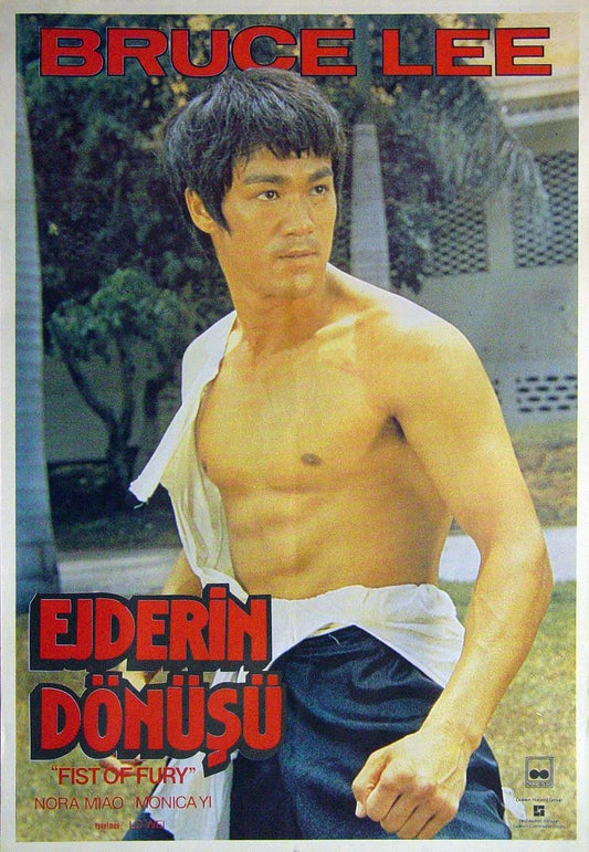 Fist Of Fury 07 Movie Magnet
