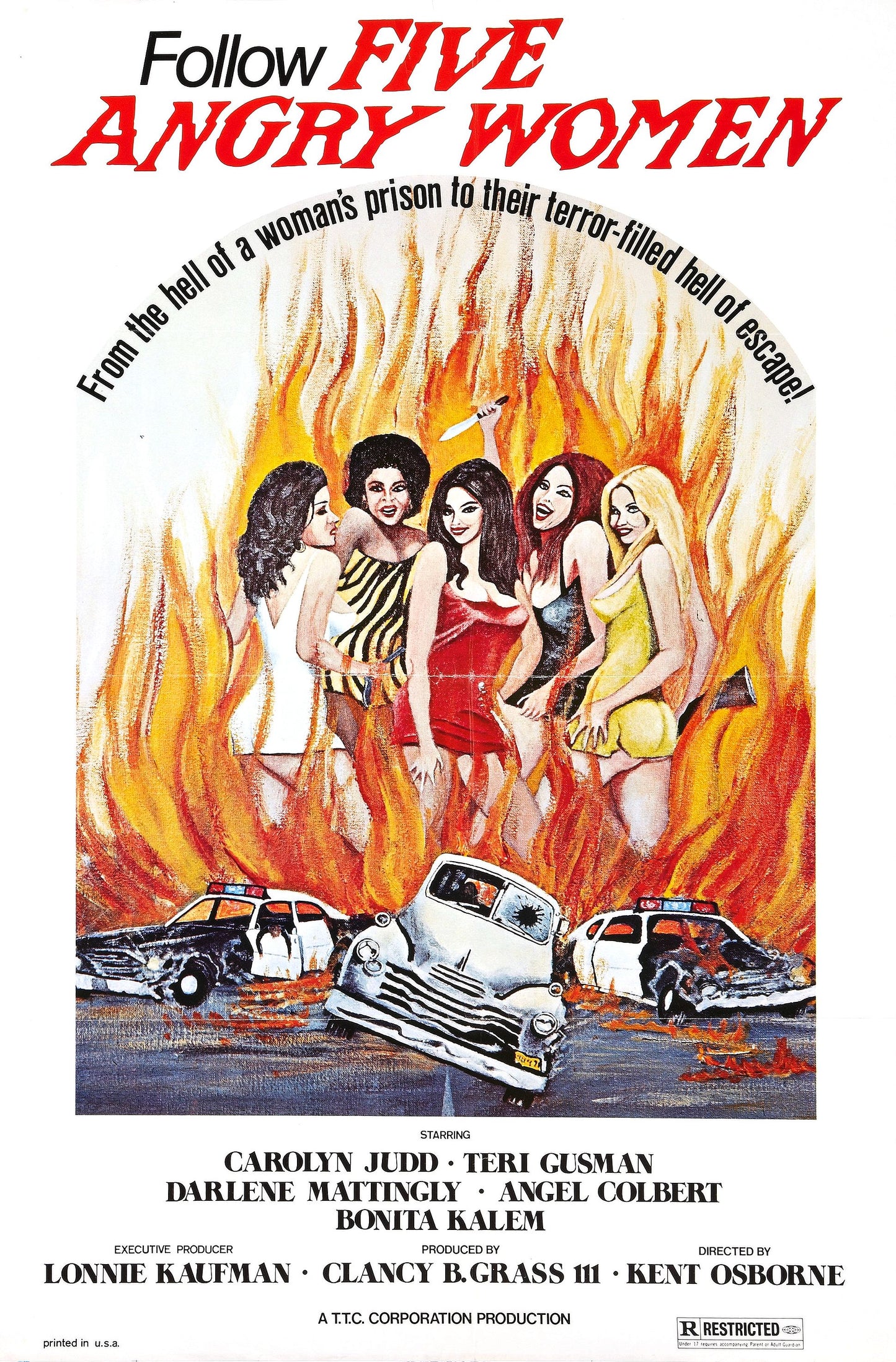 Five Angry Women 01 Movie Magnet