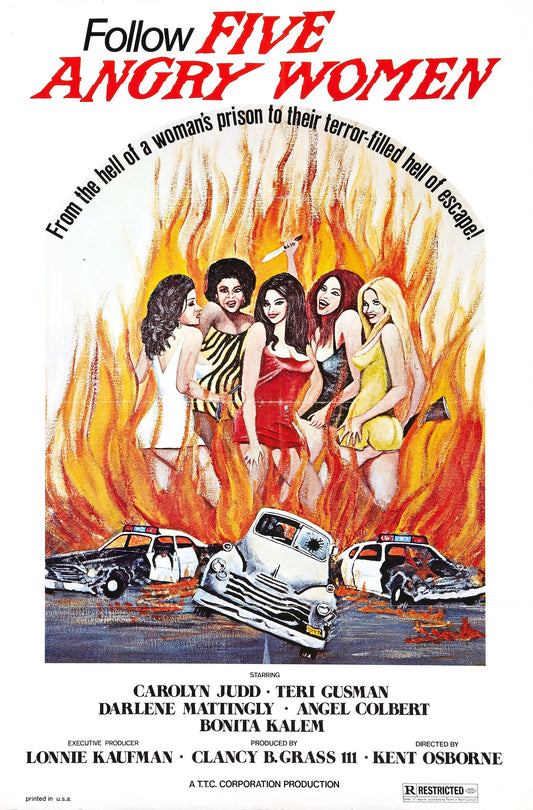 Five Angry Women 01 Movie Magnet