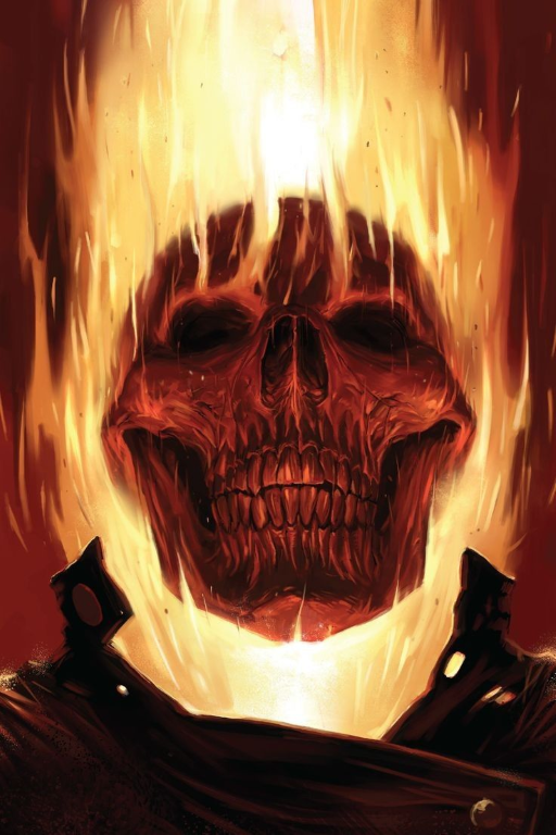 Flaming Skull Chains 9010 Jigsaw Puzzle