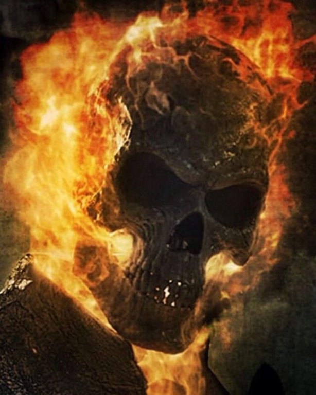 Flaming Skull Character 2391 Jigsaw Puzzle