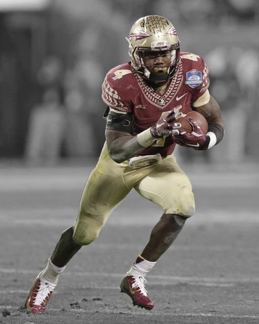 Florida State Seminoles Dalvin Cook Glossy Keychain Spotlight Keychain 2