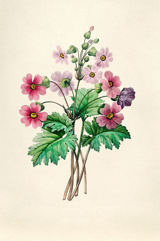 Flowers Rawn Illustration Vintage Painting Jigsaw Puzzle