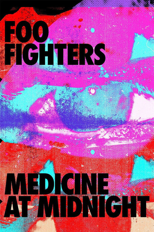 Foo Fighters Medicine At Midnight Musicians Jigsaw Puzzle