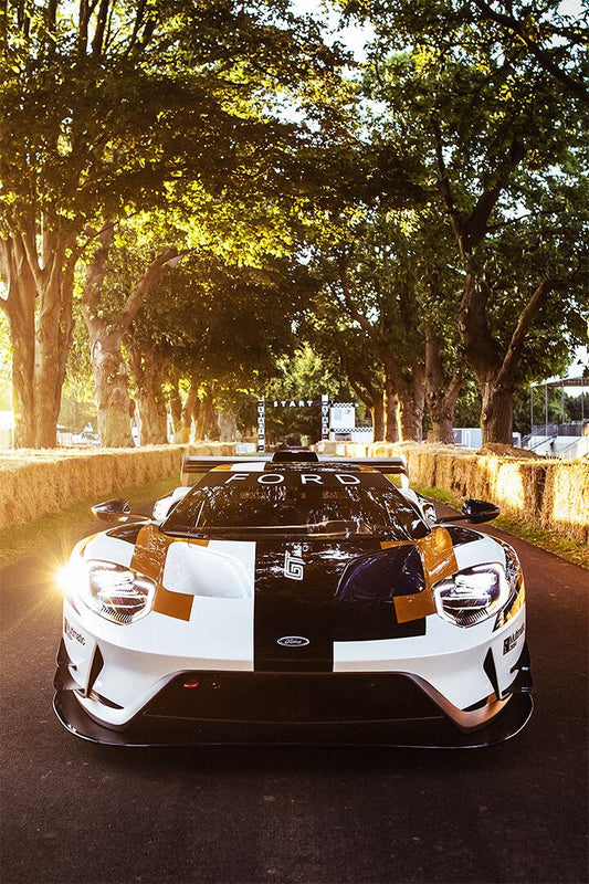 Ford Gt Sports Car Luxury Car Vehicle Jigsaw Puzzle