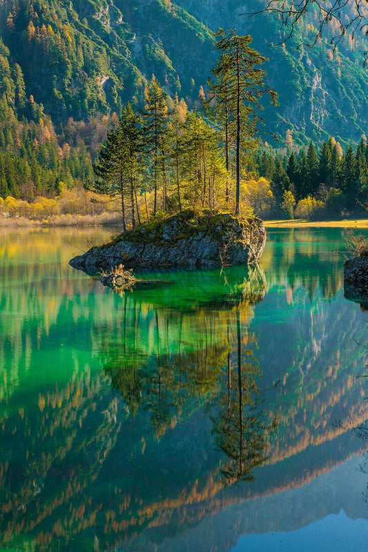 Forest Lake Beautiful Landscape Art Wall Decor Jigsaw Puzzle
