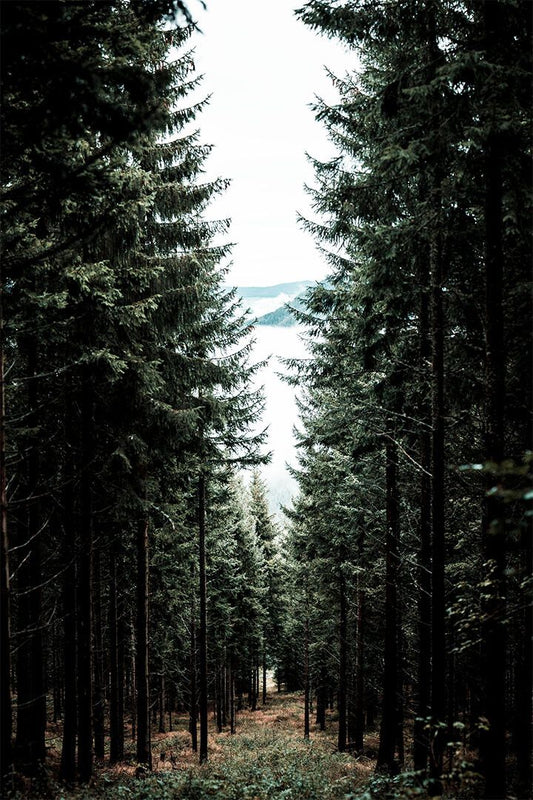 Forest Of Pine Trees Mountains Landscape Print Wall Home Decor Jigsaw Puzzle