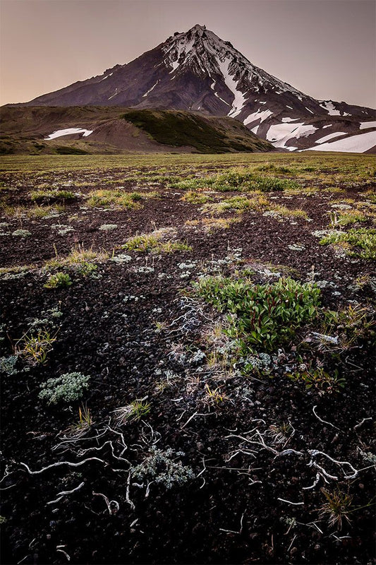 Forests In Kamchatka Nature Landscape Painting Wall Home Decor Jigsaw Puzzle