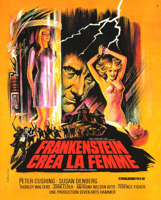 Frankenstein Created Woman 05 Movie Magnet
