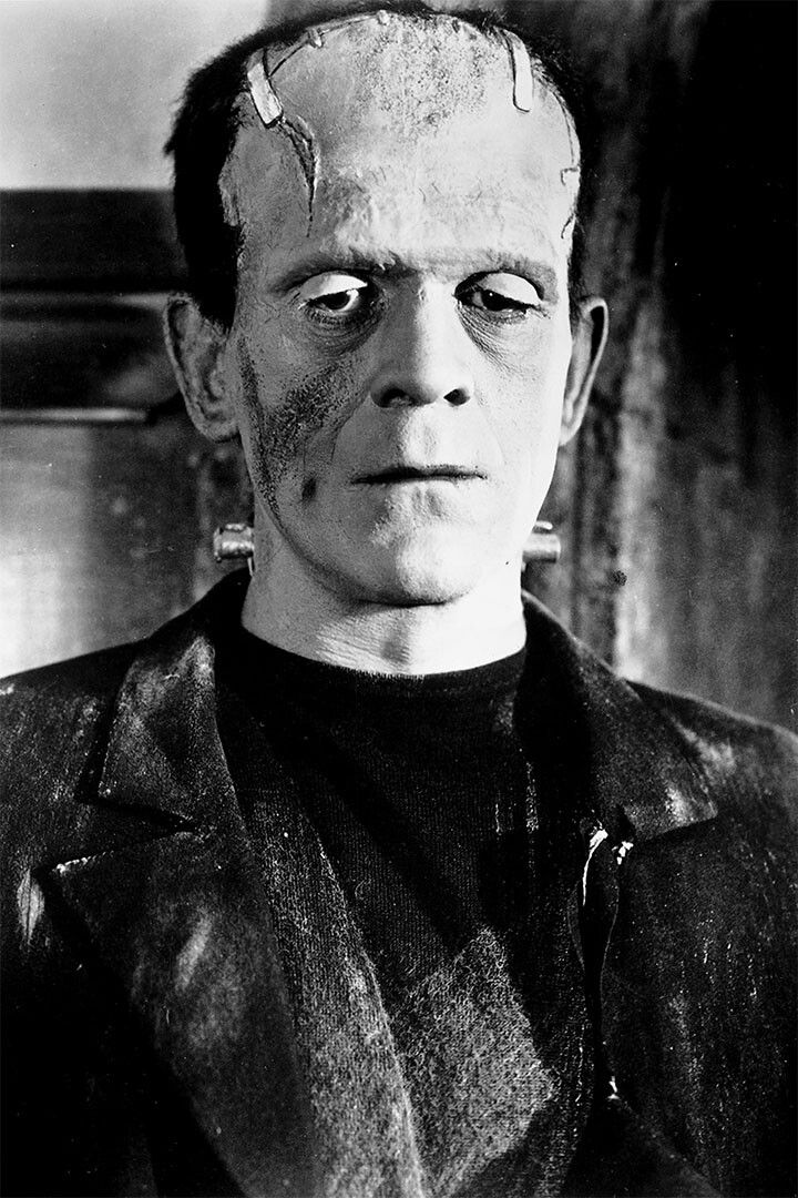 Frankenstein Movie Horror Science Fiction Drama Wall Home Decor Jigsaw Puzzle