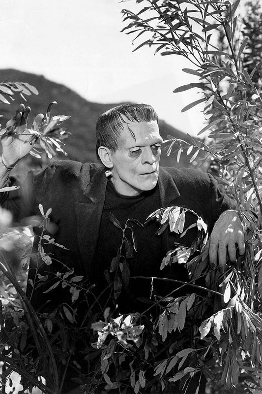 Frankenstein Movie Science Fiction Drama Horror Wall Home Decor Jigsaw Puzzle