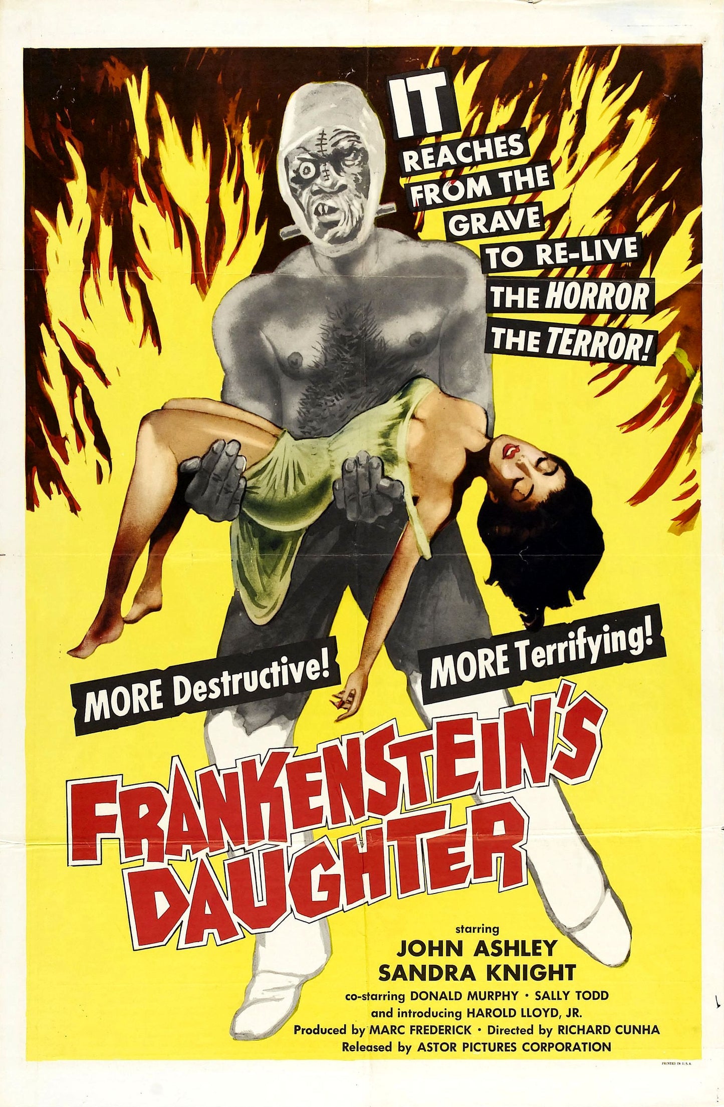 Frankensteins Daughter 01 Movie Magnet