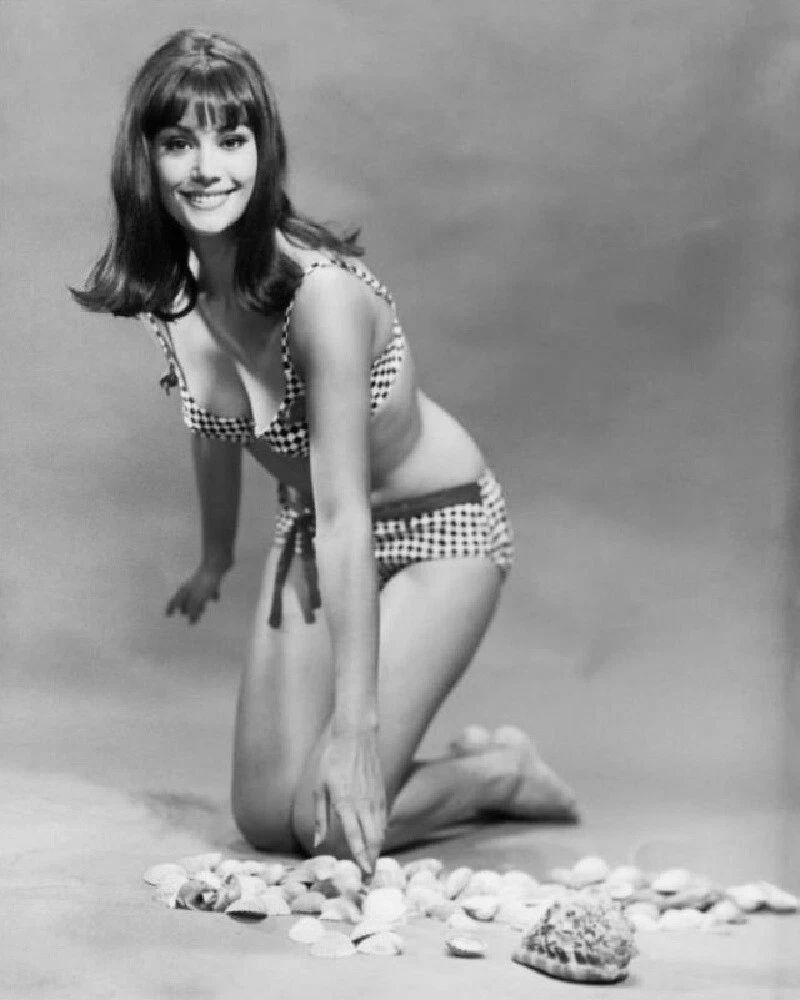 French Actress Claudine Auger Classic Model Picture Poster Photo