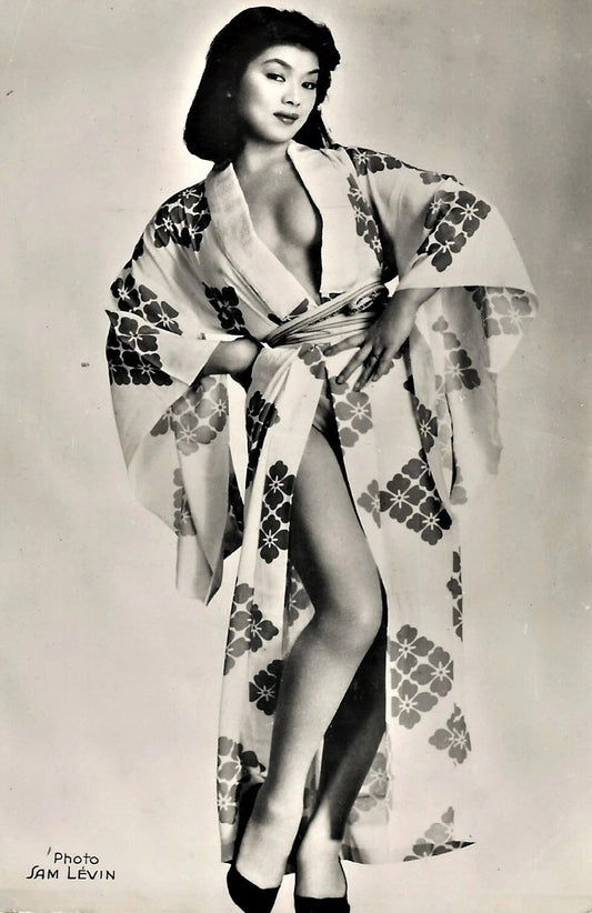 French Japanese Actress Yoko Tani Publicity Picture Magnet Print