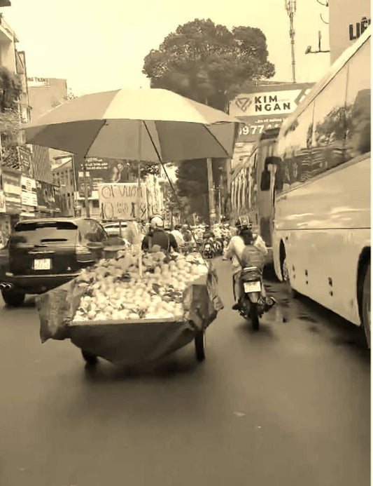 Fruit & Motorbike Ho Chi Minh City Streets Vietnam Saigon Picture Magnet