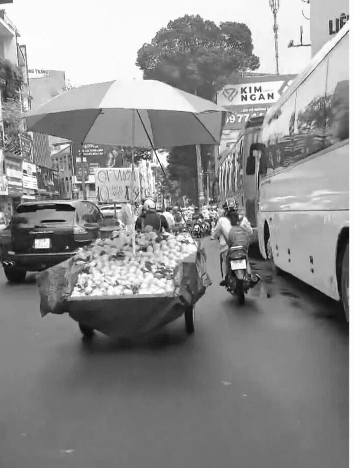 Fruit & Scooter Ho Chi Minh City Streets Vietnam Saigon Picture Magnet