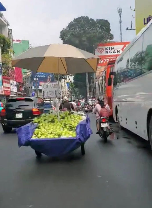 Fruit On Motorbike Ho Chi Minh City Streets Vietnam Saigon Picture Keychain