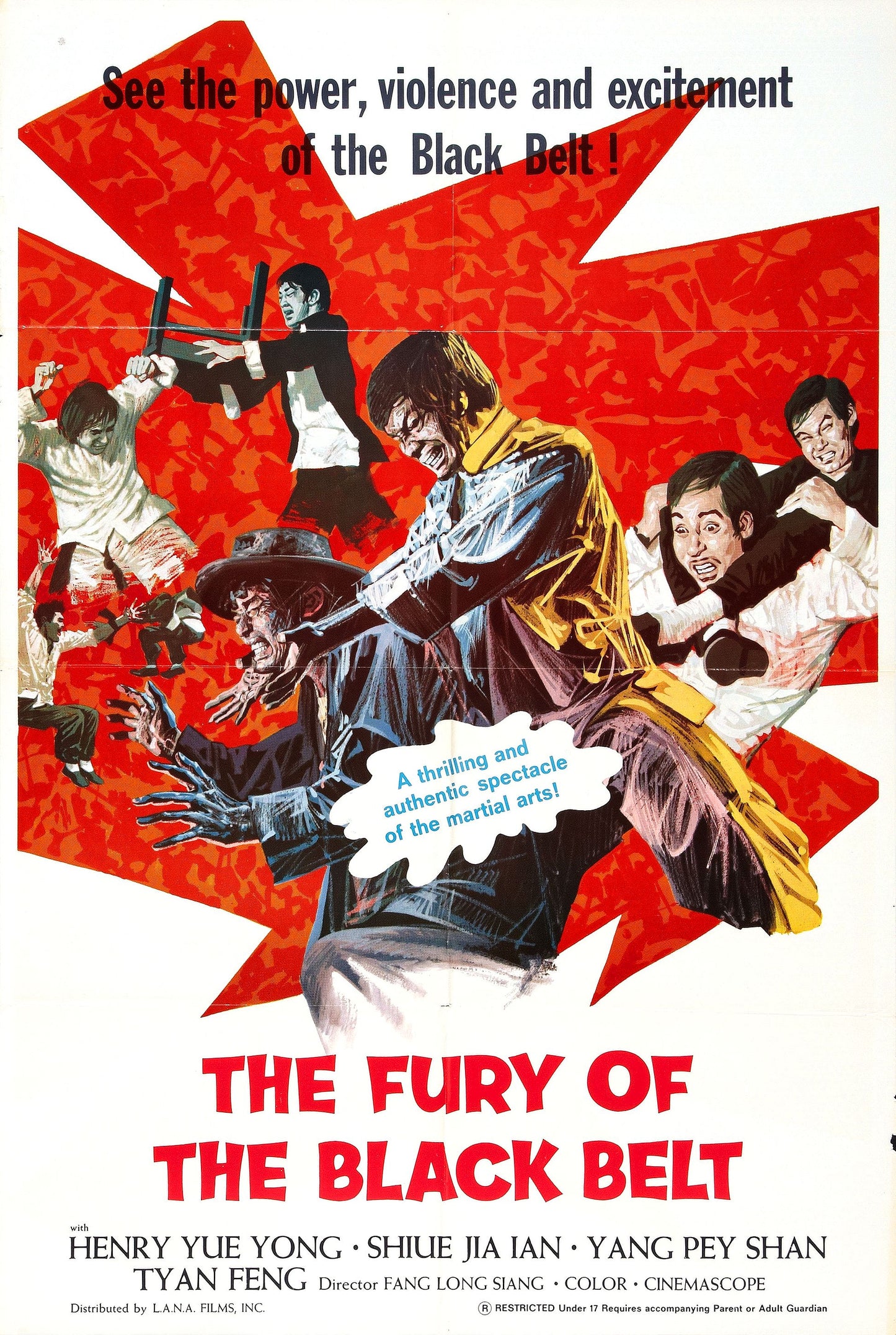 Fury Of Black Belt 01 Movie Magnet