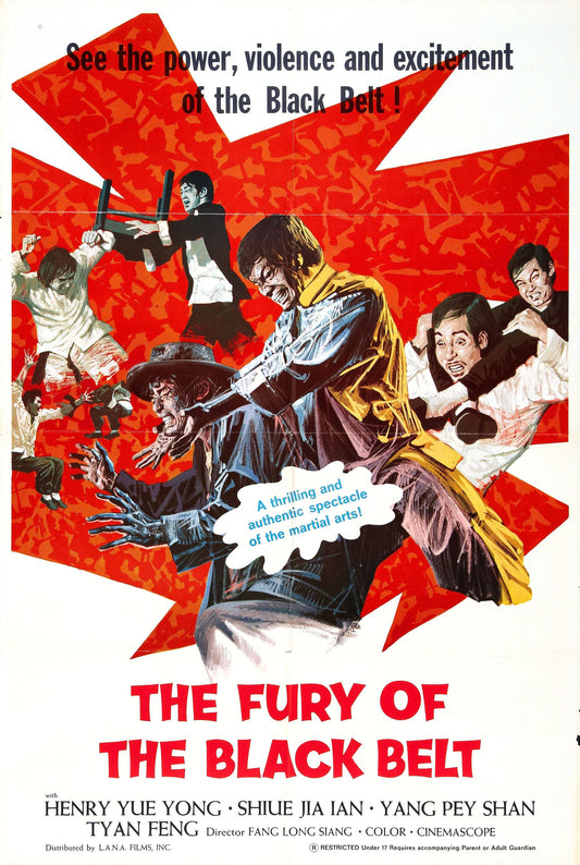 Fury Of Black Belt 01 Movie Magnet