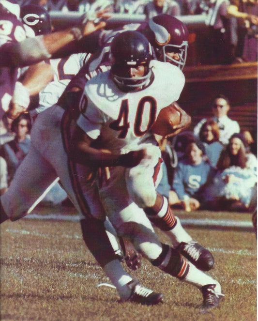 Gale Sayers Magnet Chicago Bears Nfl Football Vs Vikings