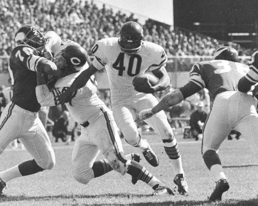 Gale Sayers Magnet Chicago Bears Nfl Football Vs Vikings Bw
