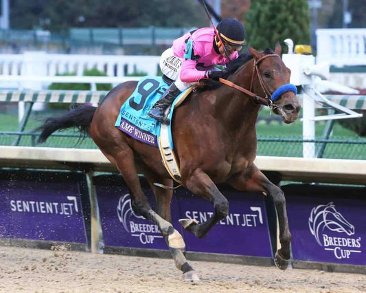 Game Winner Photo Horse Racing Picture