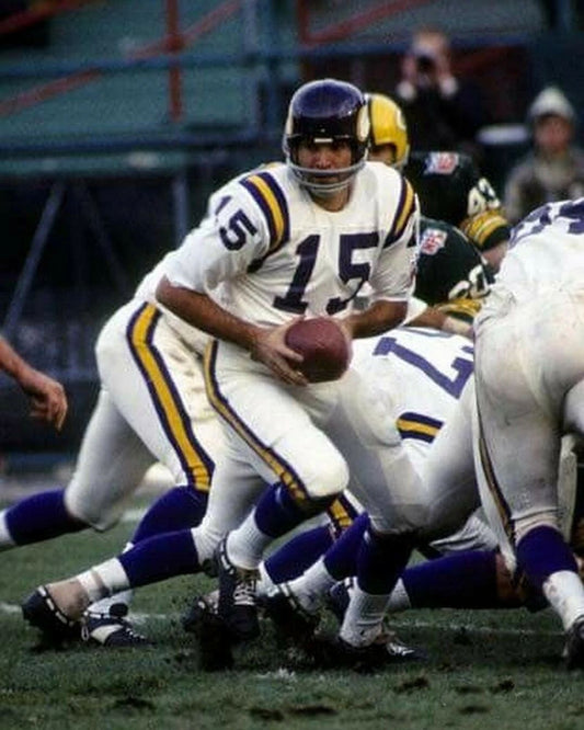 Gary Cuozzo Magnet Minnesota Vikings Picture Nfl Football Hand Off