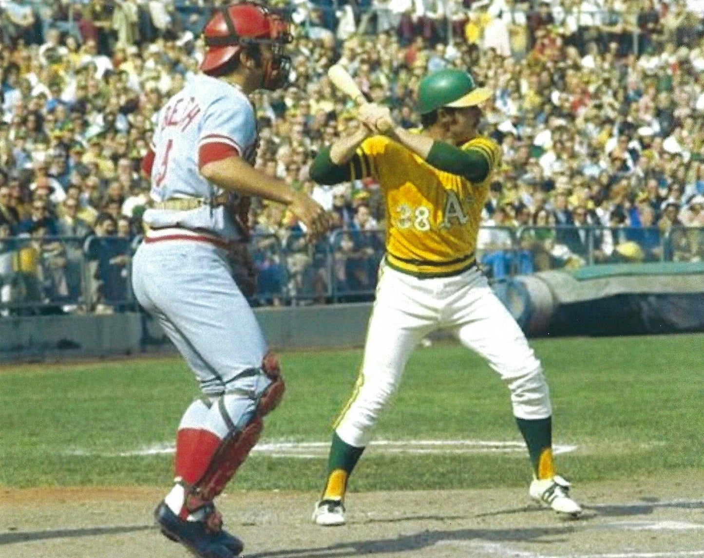 Gene Tenace & Johnny Bench Magnet Oakland A'S Cincinnati Reds Baseball