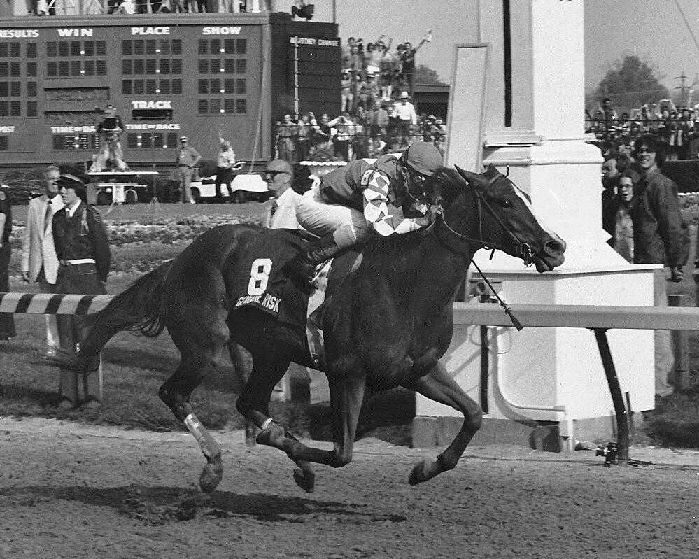 Genuine Risk Photo Horse Racing Picture