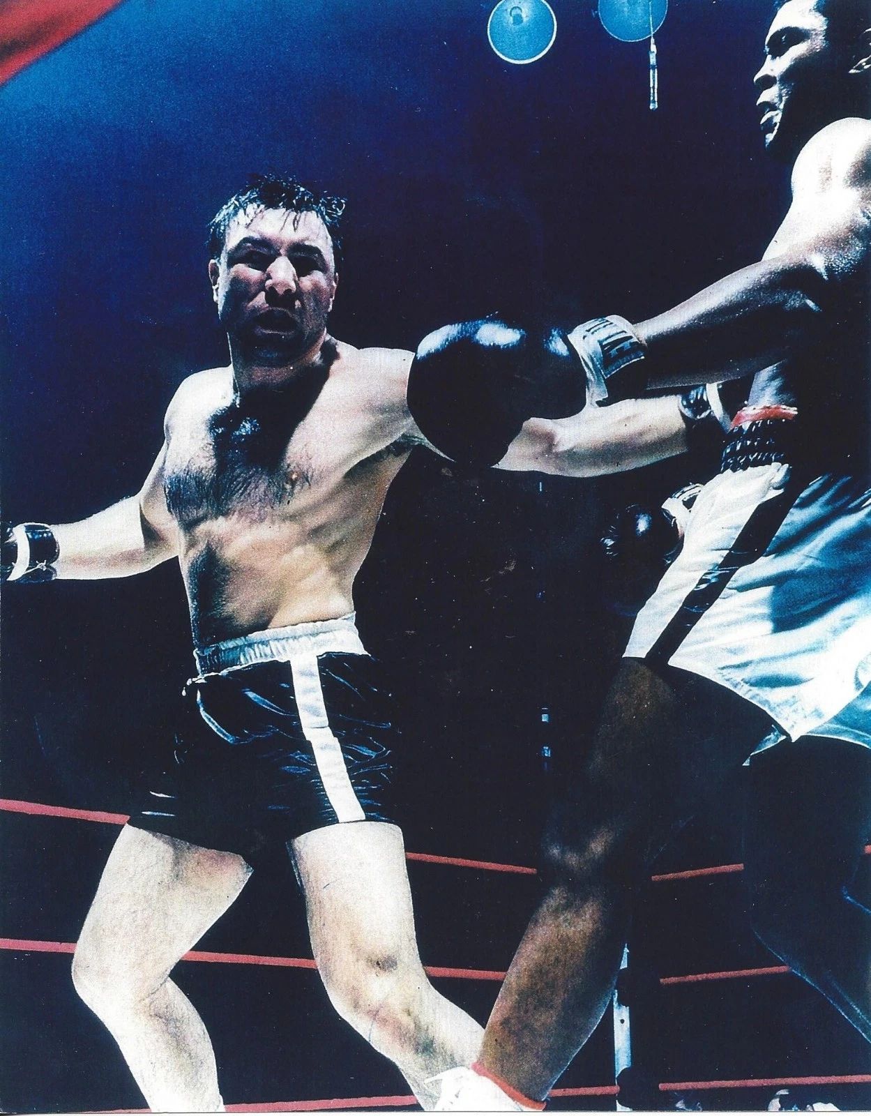 George Chuvalo Vs Muhammad Ali Photo Boxing Picture Backs Ali