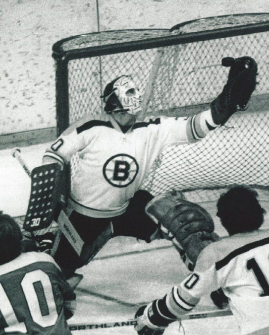 Gerry Cheevers Photo Hockey Boston Bruins Mask Stitches Nhl Picture Hockey