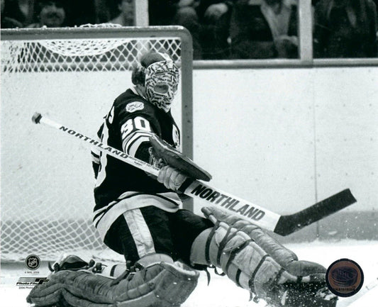 Gerry Cheevers Magnet Hockey Boston Bruins Picture Hockey Color Nhl