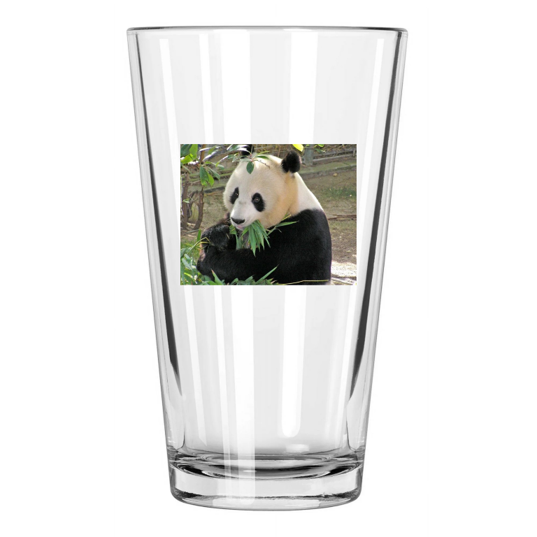 Giant Panda Bear Photo China Nature Wildlife Pint Beer Drinking Glass