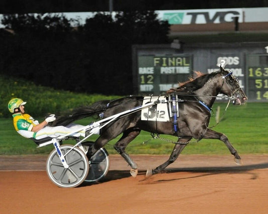 Giveitgasandgo Keychain Harness Horse Racing Picture