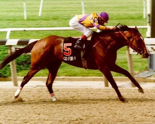 Go For Wand Photo Horse Racing Picture