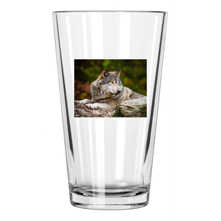 Gray Wolf Photo Canada Nature Wildlife 1 Pint Beer Drinking Glass