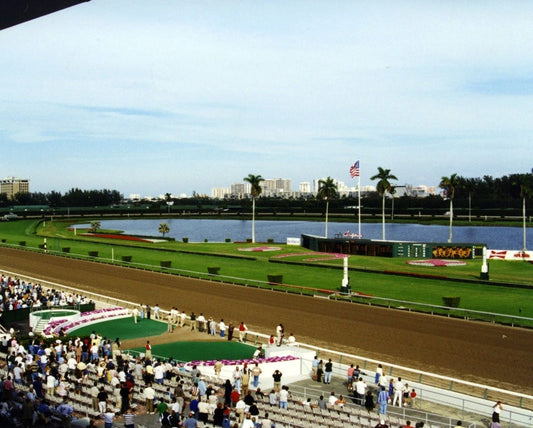 Gulfstream Park Racetrack Photo Horse Racing Picture Florida Race Course