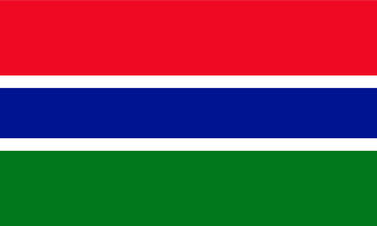 Gambia Flag Print Poster