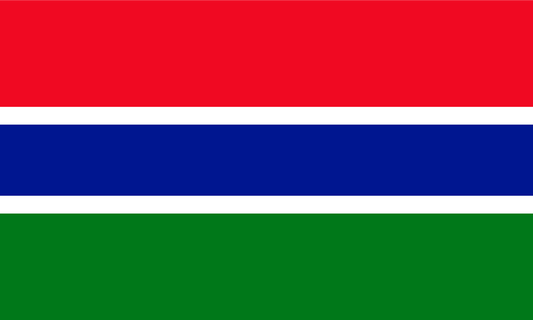 Gambia Flag Print Poster