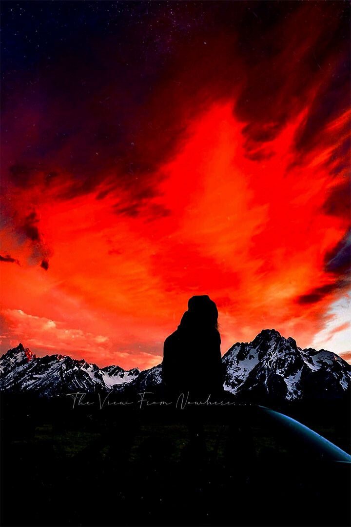 Gentry Fox Album The View From Nowhere Jigsaw Puzzle